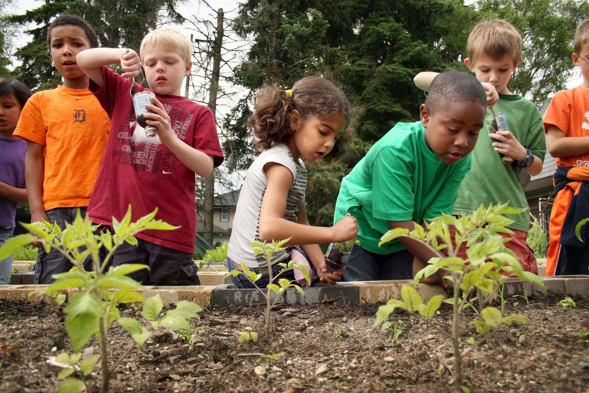 natural learning school